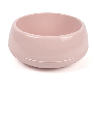 Dekoratif Aranjman Saksı Kaktüs Sukulent Çiçek Saksısı 2 Lt