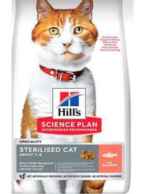 Açık Kedi Maması