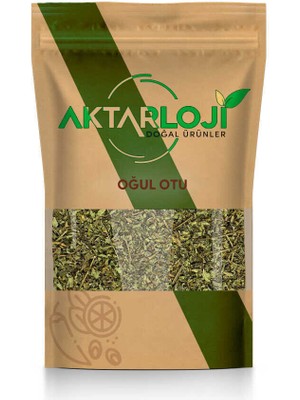 Aktarloji Oğul Otu 25 gr