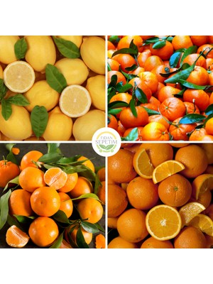Fidan Sepetim 4 Çeşit Narenciye Fidanı Paketi (Hobi Bahçelerine Özel)