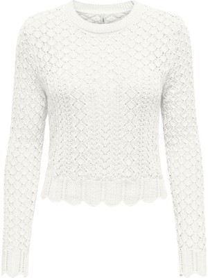 Only Onlsaga Lıfe Ls O-Neck cc Knt