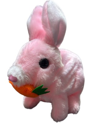 Dans Eden Zıplayan Tavşan