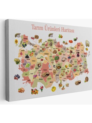 Tarım Ürünleri Yerli Malı Haftası Türkiye Haritası 1046