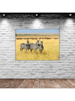 Bk Home Zebra Manzaralı Kanvas Tablo 70X100CM-1
