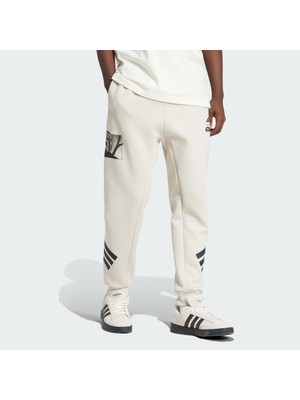 adidas Erkek  Bej  Eşofman Altı M SW TM SWTPNTS JI5723