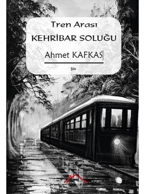 Tren Arası Kehribar Soluğu - Ahmet Kafkas