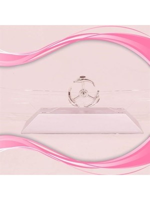 Büro Ev Hediyesi Için Çalışma Masa Üstü Manyetik Kinetik Orbital Dönen Yunuslar