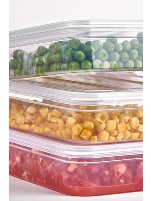 Follow Me Deepfreezer Organizer Saklama Kabı Büyük (2.4 Lt)