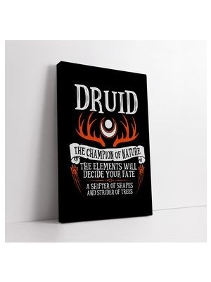 Oyuncu Odası Druid Kanvas Tablo