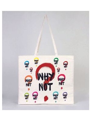 Why Not 1 Baskılı Körüklü Kanvas Bez Çanta 37X40X14CM