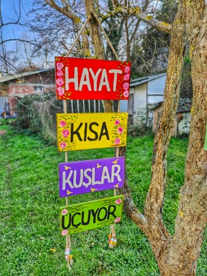 Nsn Ahşap Dünyası Ahşap Bahçe Süsü, Ağaç Süsleme,Dış Mekan Dekoru,4 Lü Halatlı Pano,Karşılama Panosu, 20×10Ccm,Rengarenk