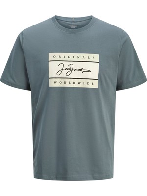 Jack & Jones Jorfrederıksberg Boxscrıp Mavi Erkek Çocuk Kısa Kol T-Shirt