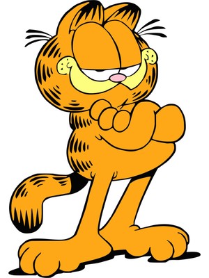 11,5 x 8 cm Garfield Kedi Cat Oto Cam Araba Telefon Laptop Sticker
