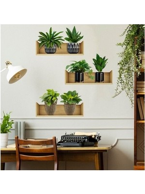 Ozcmax Raflı Bitki Tasarımlı Yapışkanlı Sticker 20*30  cm  3lü Set MC-663