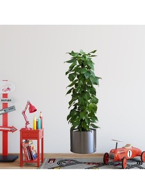 Ozcmax  Saksılı Bitki Tasarımlı Yapışkanlı Sticker Resim 90*30  MC-665