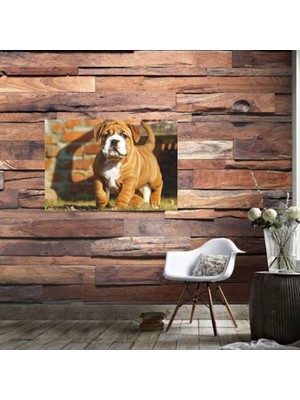 Ahşap Retro Mdf Poster , Komik Sözler , Duvar Yazıları , Manzara ,  Tarih , Edebiyat - TBL0629