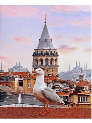 Marsilyan- Kanvas Galata Kulesi ve Martı Sayılarla Boyama Seti Kasnaklı