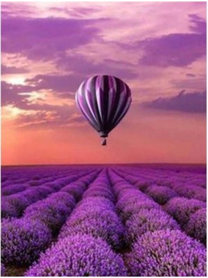 Marsilyan- Kanvas Lavanta Bahçesi ve Balon Sayılarla Boyama Seti Rulo