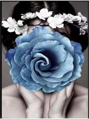 Marsilyan- Kanvas Çiçek Kadın 17 Sayılarla Boyama Seti Rulo