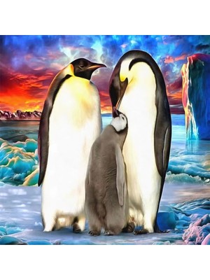 Marsilyan- Kanvas Penguen Ailesi Sayılarla Boyama Seti Rulo