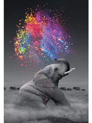 Marsilyan- Kanvas Renk Yağmuru ve Fil  Sayılarla Boyama Seti Rulo