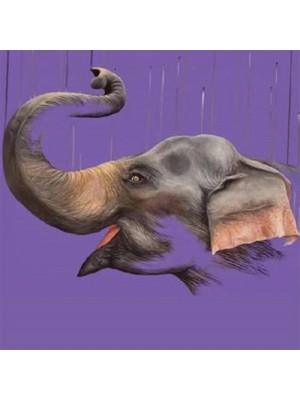 Marsilyan- Kanvas Sevimi Fil Sayılarla Boyama Seti  Rulo