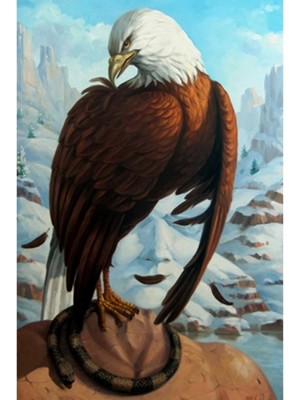 Marsilyan- Kanvas Kartal Düşüncesi Sayılarla Boyama Seti Rulo