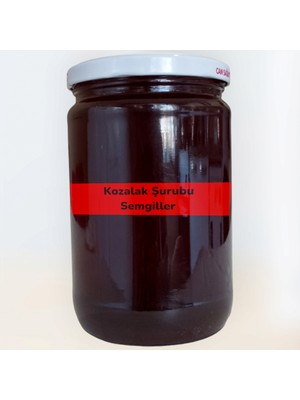 Semgiller Organik Saf Çam Kozalak Şurubu Katkısız 700 gr Şekersiz