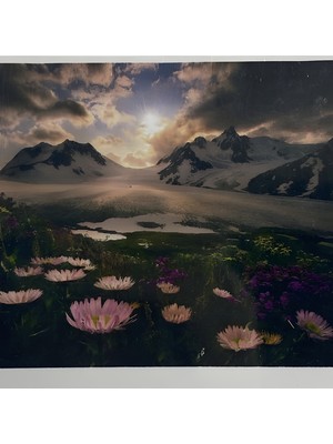 5d Yapışan Boncuk Goblen Mozaik Tablo Pano 40 x 50 cm 76388