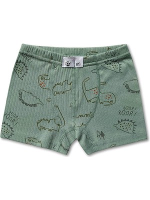 Giza Kids %100 Pamuklu Dinozor Desenli Erkek Çocuk Boxer Külot Iç Çamaşır 6lı Set