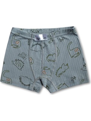 Giza Kids %100 Pamuklu Dinozor Desenli Erkek Çocuk Boxer Külot Iç Çamaşır 6lı Set