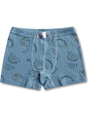 Giza Kids %100 Pamuklu Dinozor Desenli Erkek Çocuk Boxer Külot Iç Çamaşır 6lı Set