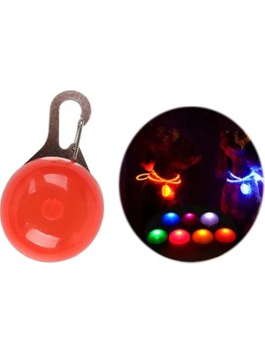 LED El Feneri Pet Kolye Karanlıkta Parlayan Parlak Evcil Hayvan Kedi Köpek Tasması 3 Fonksiyonlu