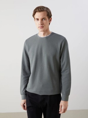 LC Waikiki Lcwaıkıkı Classic Gri Bisiklet Yaka Uzun Kollu Erkek Sweatshirt T T