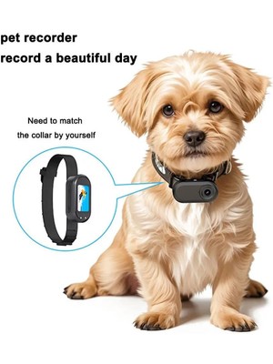 Hd Kamera 1080P Çözünürlük Pet Spor Kamera Açık Bisiklet Manyetik Şarj Akıllı Kameralar