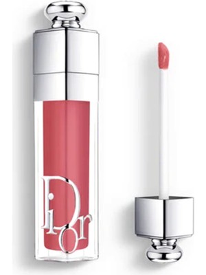 Addict Lip Maximizer 009 Intense Rosewood