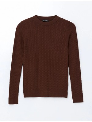 LC Waikiki Lcw Modest Kahverengi Bisiklet Yaka Kendinden Desenli Kadın Triko Kazak T T