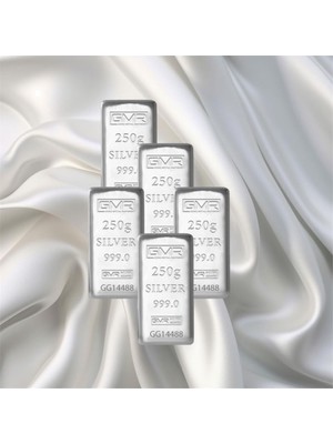 LEVA GOLD 5 Adet 250 gr Gmr Gümüş Külçe
