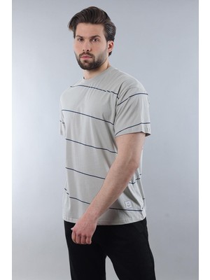 Boyalı Gri Bisiklet Yaka Basic Çizgili Erkek T-Shirt E7102