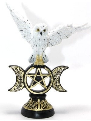 Dervis'İN Polyester Baykuş