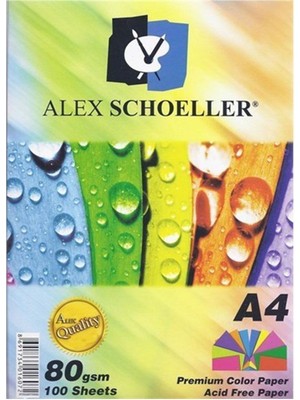Alex Schoeller A4 Renkli Fotokopi Kağıdı 10 Renk - 100 Adet ALX-779