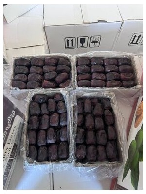 Iran Taze Yaş Hurma 6 kg Yeni Mahsül Taze Hurma Ramazan Bayramı Hurma Iftar Hurması