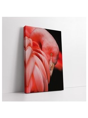 Pembe Flamingo Kanvas Tablo