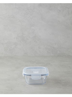 English Home Arian Borosilikat Saklama Kabı 520 ml Şeffaf