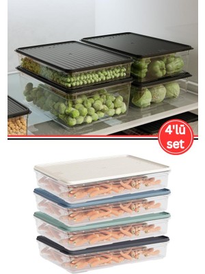 Flora 4'lü Buzdolabı Düzenleyici Set, Buzluk Difriz Derin Dondurucu Buzdolabı Saklama Kabı 4X2200ML