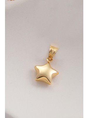 Moom Mücevherat 14 Ayar Altın Yıldız Kolye Ucu