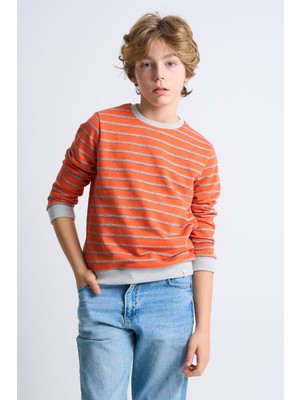 Alexandergardı Çizgili Bisiklet Yaka Çocuk Sweatshirt