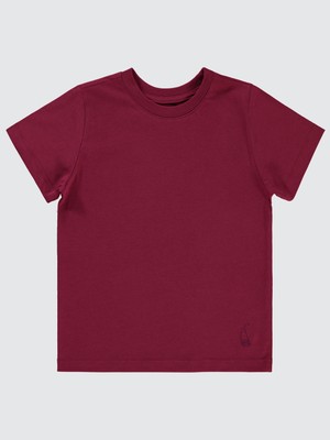 Civil Boys Erkek Çocuk Tişört 2-5 Yaş Mürdüm