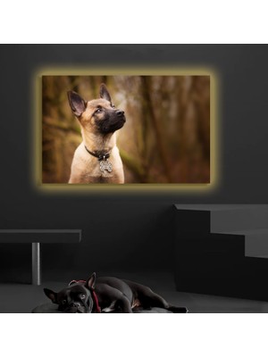 Marsilyan LED Işıklı Kanvas Tablo, 3D Dekoratif Baskılı Tablo Yapay Zeka Desteksli Hayvanlar  107