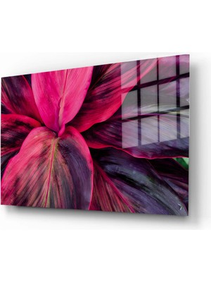 Marsilyan Doğa, Manzara 3D Dekoratif Baskı Yatay Cam Tablo 01